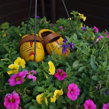 B&B Hulleste Westerland エクステリア 写真